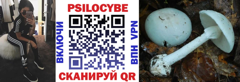 MEGA как зайти  Кирс  Галлюциногенные грибы Cubensis  где можно купить наркотик 